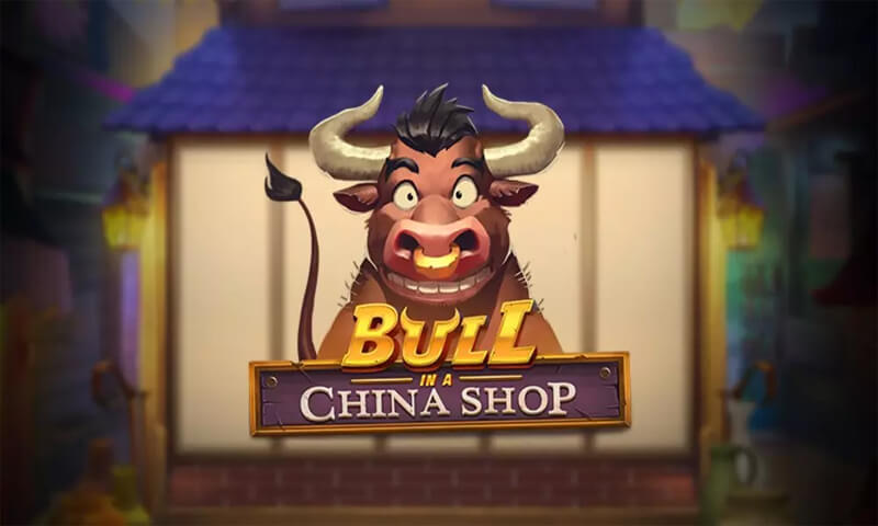 Bull in a China Shop