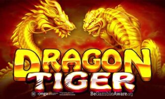 Dragon Tiger Slot