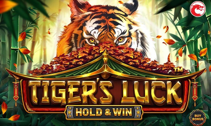 Tiger's Luck Hold & Win Slot